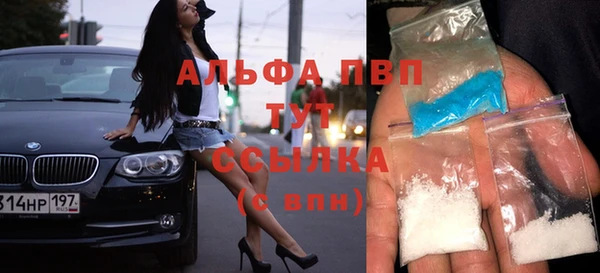 шишки Майский