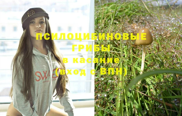 шишки Майский