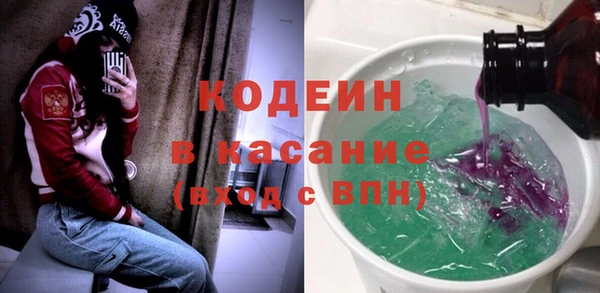 шишки Майский