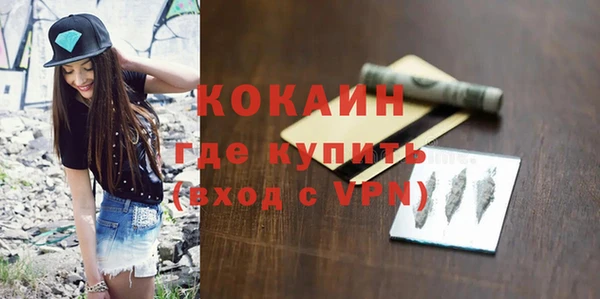 шишки Майский
