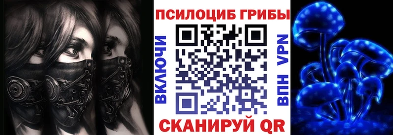 Псилоцибиновые грибы MAGIC MUSHROOMS  Купить закладки  Буйнакск 