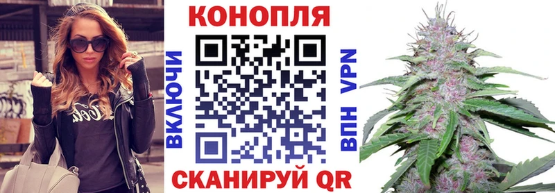 Канабис конопля  Купить где  Буйнакск 